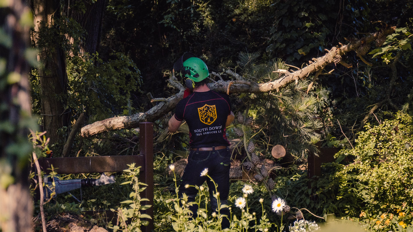 Site clearance, garden clearance, tree removal services